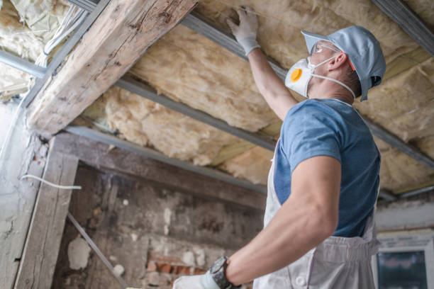 Best Spray Foam Insulation in Bloomfield, IA