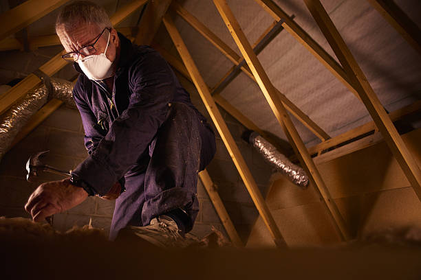 Best Residential Insulation in Bloomfield, IA